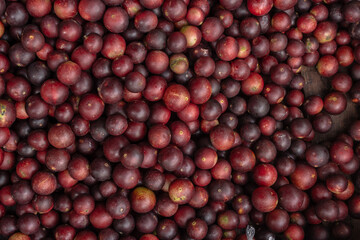 CAMU CAMU, AMAZONIAN FRUIT THAT GROWS ON THE BANKS OF RIVERS, DELICIOUS RED FRUIT KNOWN AS CAMU CAMU, DELICIOUS IN ICE CREAMS AND DESSERTS
