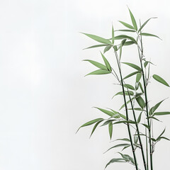 Fototapeta premium modern 2D doodle cartoon flower concept with open space for text, featuring whimsical floral and leafy elements on crisp white backgrounds.