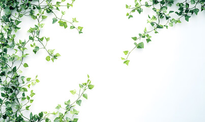 modern 2D doodle cartoon flower concept with open space for text, featuring whimsical floral and leafy elements on crisp white backgrounds.