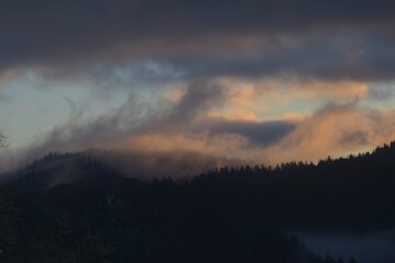 Obraz premium Clouds dancing on the trees