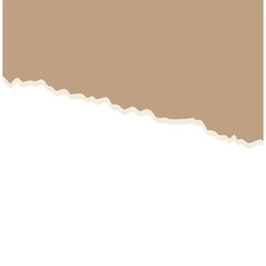 torn paper vector illustration