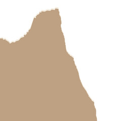 torn paper vector illustration
