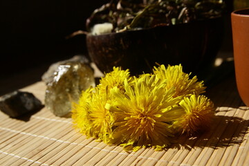 Dandelion honey jam, fresh and dried flowers in a beautiful aesthetic composition on the table.