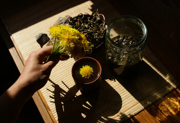 Dandelion honey jam, fresh and dried flowers in a beautiful aesthetic composition on the table.
