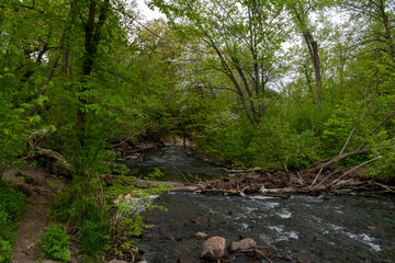 Views of Minnehaha Creek on a cloudy day surrounded by greenery in Minneapolis.