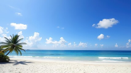 Fototapeta premium Picturesque view of beautiful sea and sandy beach on sunny day with clear blue sky, white fluffy clouds, and palm trees, coastline