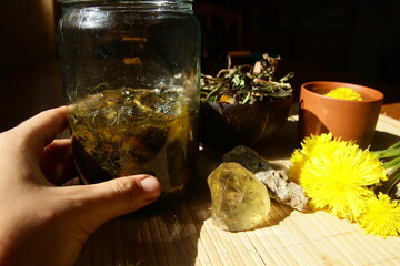 Dandelion honey jam, fresh and dried flowers in a beautiful aesthetic composition on the table.