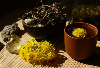 Dandelion honey jam, fresh and dried flowers in a beautiful aesthetic composition on the table.