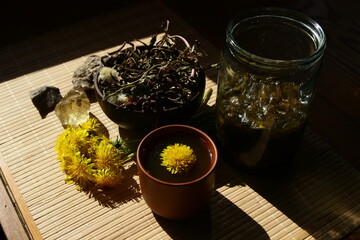 Dandelion honey jam, fresh and dried flowers in a beautiful aesthetic composition on the table.