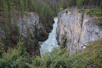 Looking Down Sunwapta Canyon, Jasper National Park, Alberta