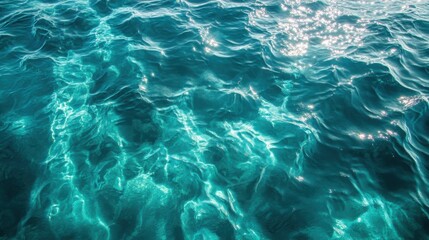 Schools of fish navigate gracefully through tranquil blue waters, creating stunning patterns under shimmering light