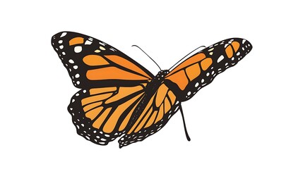 Obraz premium Elegant Butterfly Illustration with Orange and Black Wings
