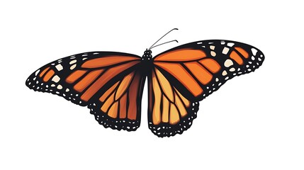 Fototapeta premium Vibrant Monarch Butterfly Illustration with Orange and Black