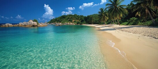 Fototapeta premium A serene tropical beach with white sand, turquoise water, and lush palm trees.