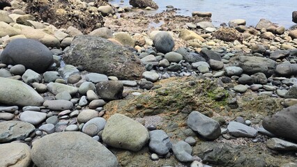 石だらけの長崎の夏の海岸