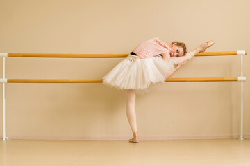 A ballet dancer rests on the barre, holding a stretch with her leg raised, displaying flexibility...