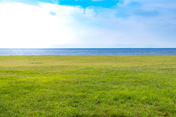 緑の芝生が広がる湖岸の公園	