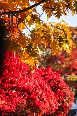 Portland, Maine, USA