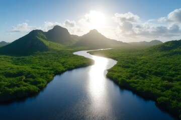 Fototapeta premium A river running through a lush green forest with mountains in the background