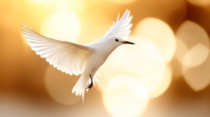 A white bird flying through the air with its wings spread