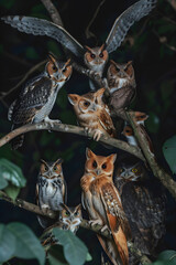 Obraz premium The Mysterious and Fascinating World of Nocturnal Creatures in their Natural Habitats