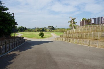 城ヶ島公園の夏の風景