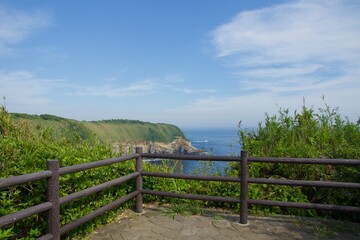 Fototapeta premium 城ヶ島公園の夏の風景