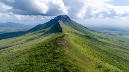 Fototapeta premium A grassy hill with a trail going up the side of it