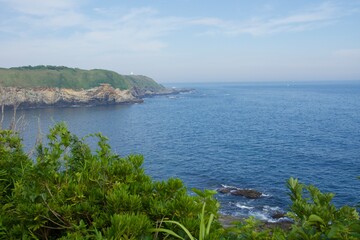 城ヶ島公園の夏の風景