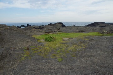 城ヶ島公園　夏の風景