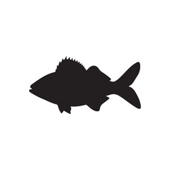 Cod fish silhouette vector illustration, Cod vector isolated on white background