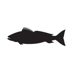 Cod fish silhouette vector illustration, Cod vector isolated on white background
