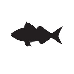 Cod fish silhouette vector illustration, Cod vector isolated on white background