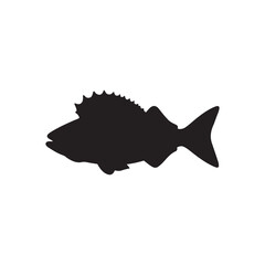 Cod fish silhouette vector illustration, Cod vector isolated on white background