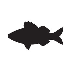 Cod fish silhouette vector illustration, Cod vector isolated on white background