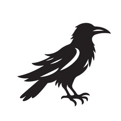 Raven or crow silhouette vector design. Raven vector illustration. Crow or raven logo, icon balck and white.