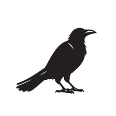 Obraz premium Raven or crow silhouette vector design. Raven vector illustration. Crow or raven logo, icon balck and white.