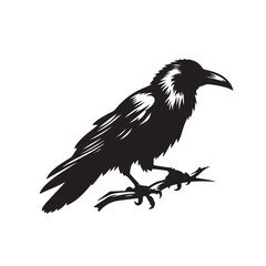 Fototapeta premium Raven or crow silhouette vector design. Raven vector illustration. Crow or raven logo, icon balck and white.