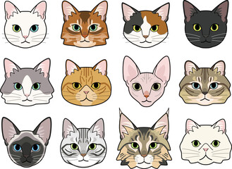 Various types of cat faces.