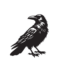 Fototapeta premium Raven or crow silhouette vector design. Raven vector illustration. Crow or raven logo, icon balck and white.