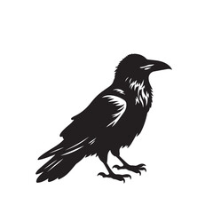 Obraz premium Raven or crow silhouette vector design. Raven vector illustration. Crow or raven logo, icon balck and white.