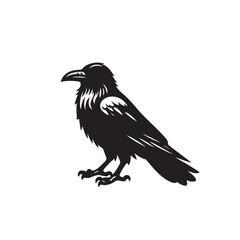 Obraz premium Raven or crow silhouette vector design. Raven vector illustration. Crow or raven logo, icon balck and white.