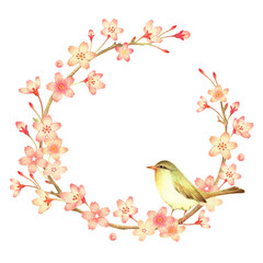 桜とウグイスのリース　手描き色鉛筆画