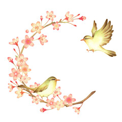 桜とウグイスの背景　手描き色鉛筆画