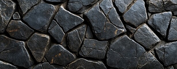 Fototapeta premium Black Rock and Tree Bark Texture: Dark Gray Stone Surface with Cracks for Design and Banner