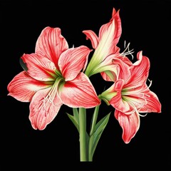 the AI Image Generator, beautiful pink lily