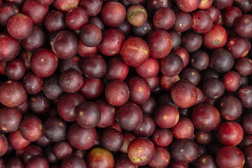 CAMU CAMU, AMAZONIAN FRUIT THAT GROWS ON THE BANKS OF RIVERS, DELICIOUS RED FRUIT KNOWN AS CAMU CAMU, DELICIOUS IN ICE CREAMS AND DESSERTS