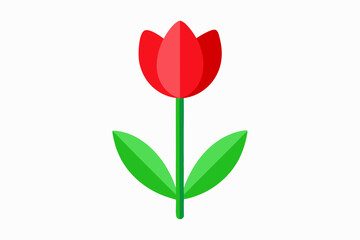 Red tulip flower vector illustration, tulip floral with white background