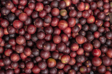 CAMU CAMU, AMAZONIAN FRUIT THAT GROWS ON THE BANKS OF RIVERS, DELICIOUS RED FRUIT KNOWN AS CAMU CAMU, DELICIOUS IN ICE CREAMS AND DESSERTS