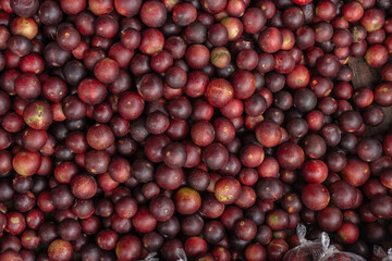 CAMU CAMU, AMAZONIAN FRUIT THAT GROWS ON THE BANKS OF RIVERS, DELICIOUS RED FRUIT KNOWN AS CAMU CAMU, DELICIOUS IN ICE CREAMS AND DESSERTS